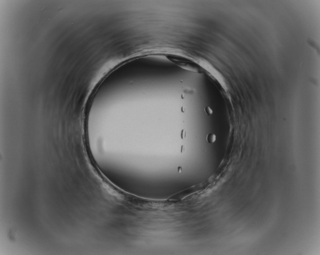 X0000094971005200712131450