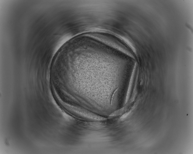 X0000094971007200712131450