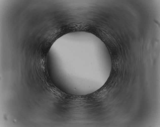 X0000094971010200712131450