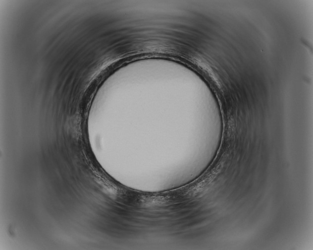 X0000094971019200712131450