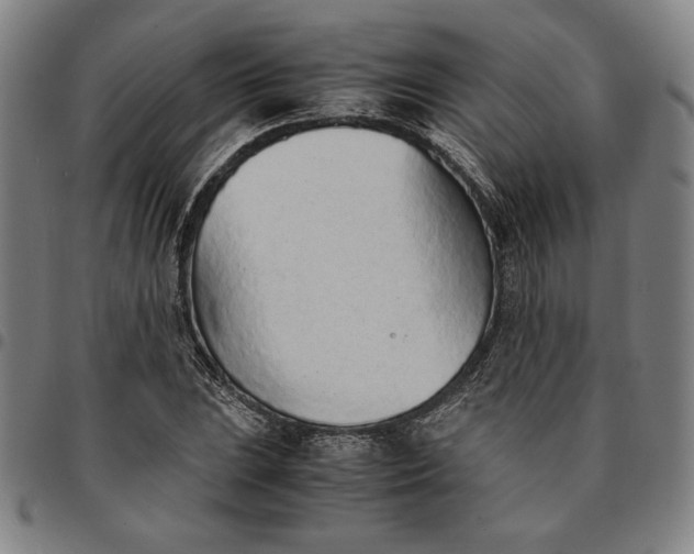 X0000094971023200712131450