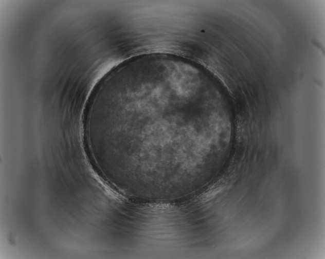 X0000094971024200712131450