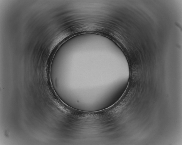 X0000094971026200712131450