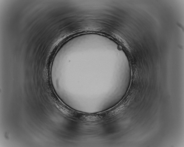 X0000094971027200712131450