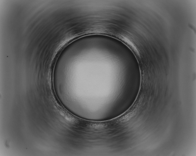 X0000094971035200712131450