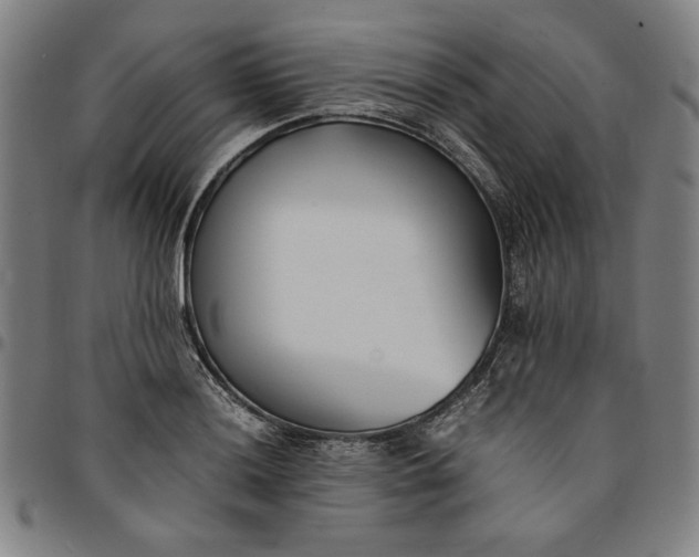 X0000094971036200712131450