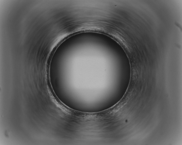 X0000094971038200712131450