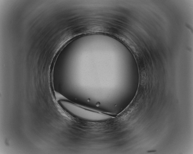 X0000094971039200712131450