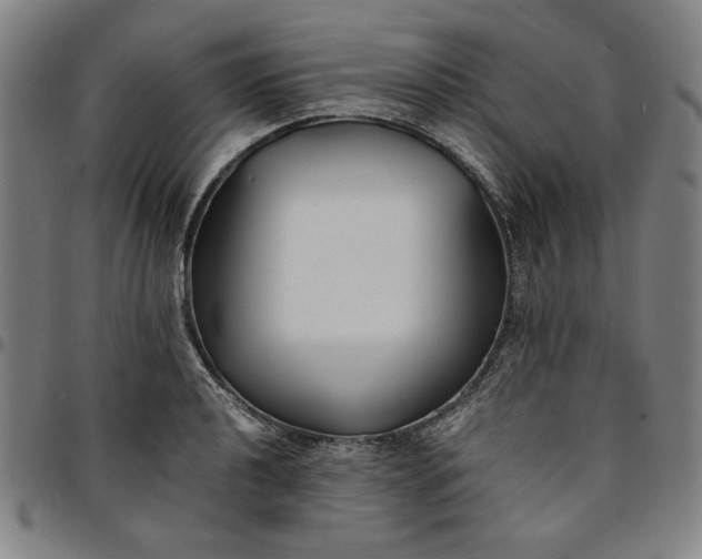 X0000094971040200712131450