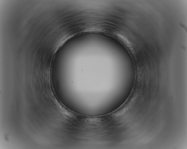 X0000094971041200712131450