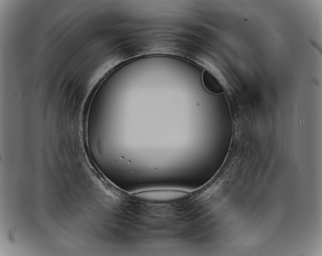 X0000094971043200712131450