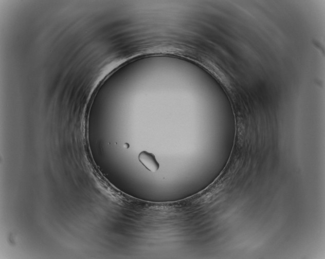 X0000094971044200712131450