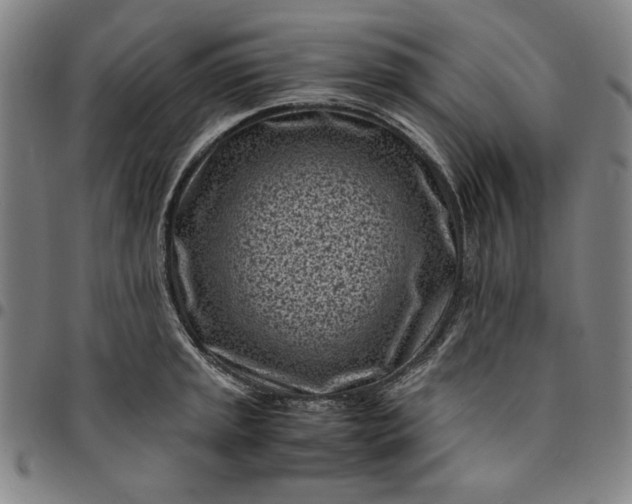 X0000094971045200712131450