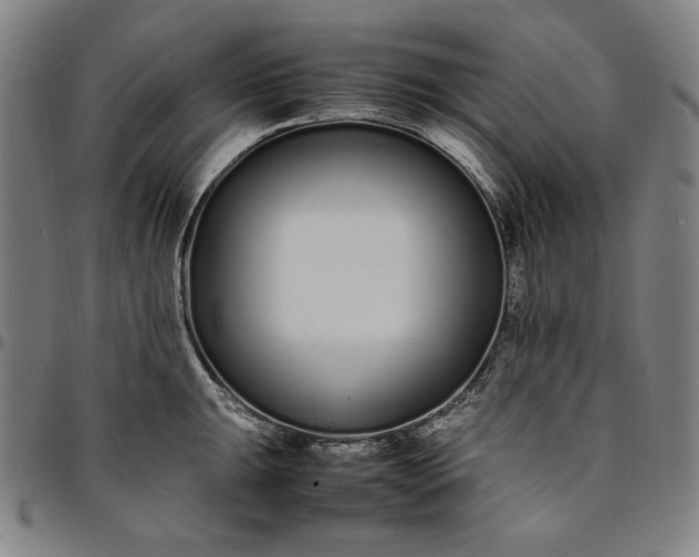 X0000094971047200712131450