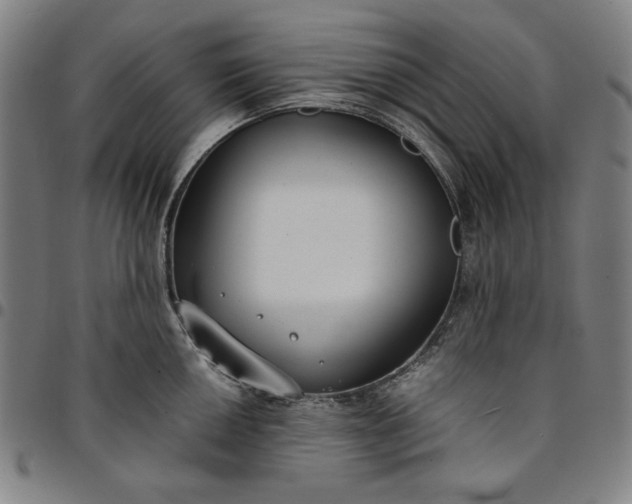 X0000094971050200712131450