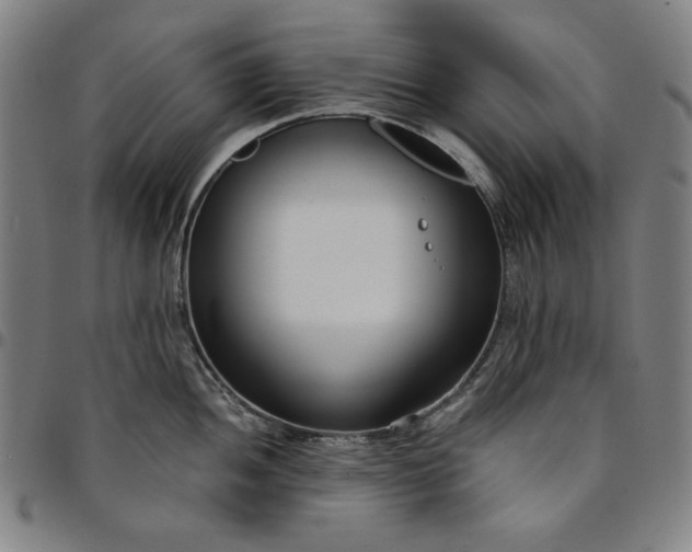 X0000094971052200712131450