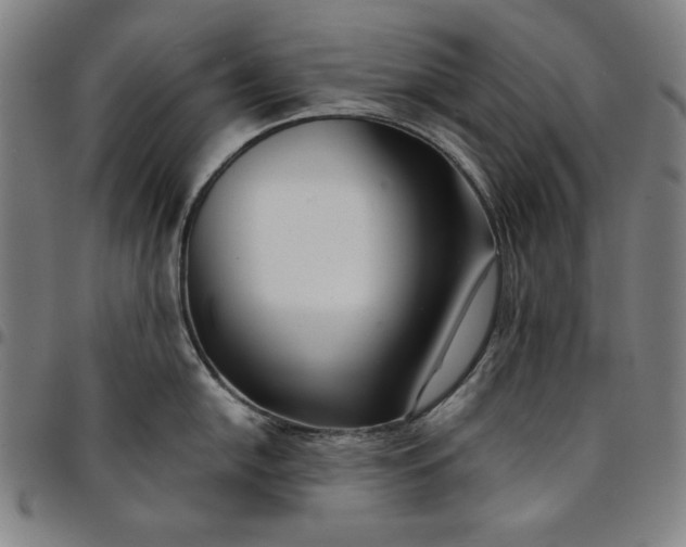 X0000094971054200712131450