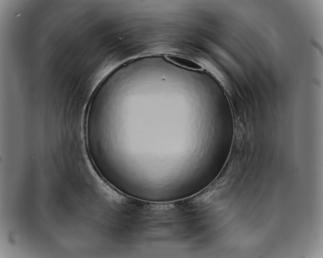 X0000094971055200712131450