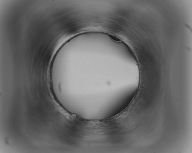 X0000094971056200712131450