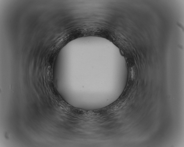 X0000094971059200712131450