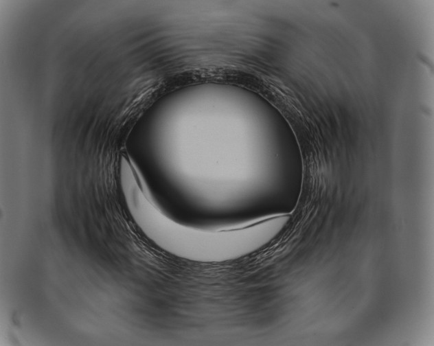 X0000094971060200712131450