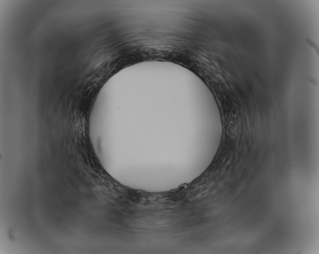 X0000094971061200712131450