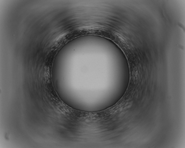 X0000094971062200712131450