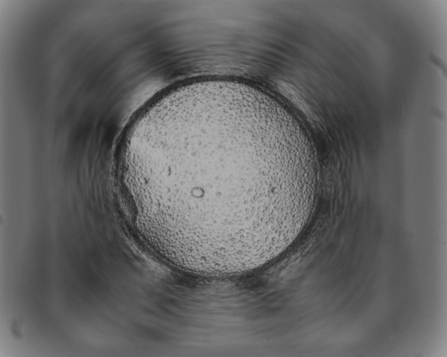 X0000094971071200712131449