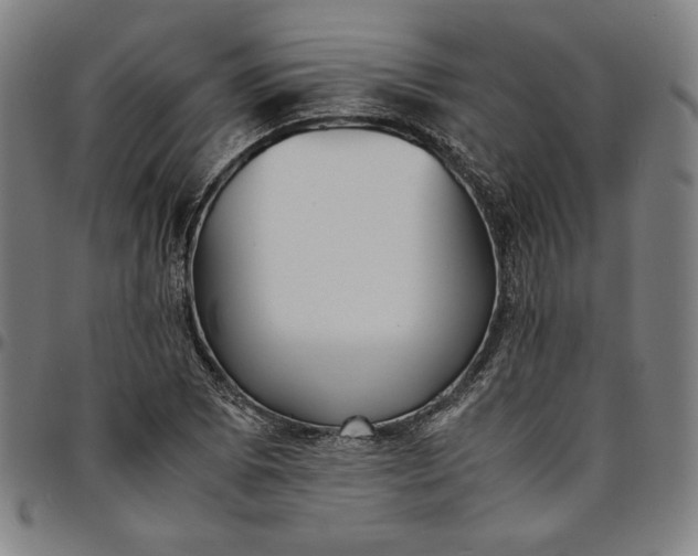 X0000094971073200712131449