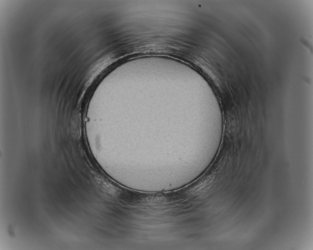 X0000094971075200712131449