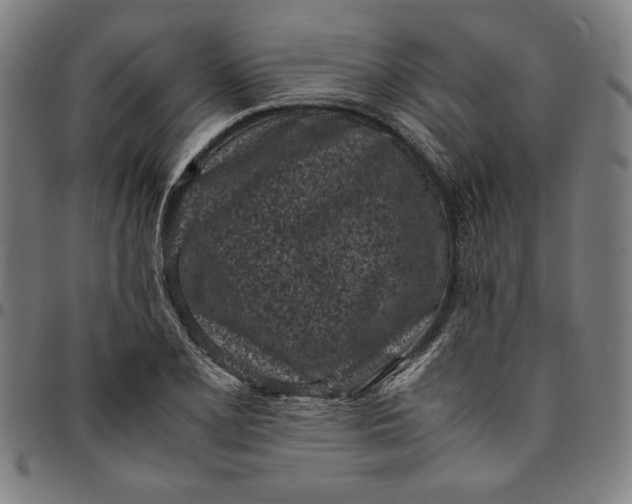 X0000094971077200712131449