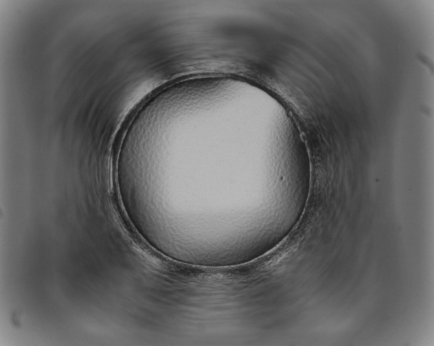 X0000094971079200712131449