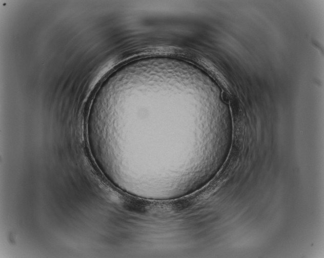 X0000094971083200712131449