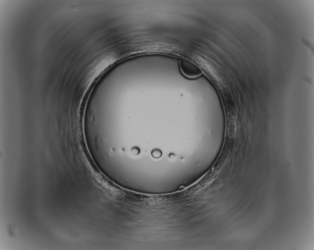 X0000094971087200712131449