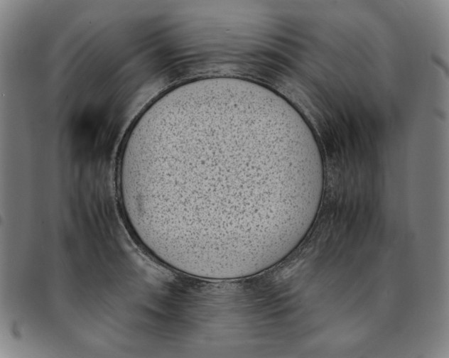 X0000094971090200712131449