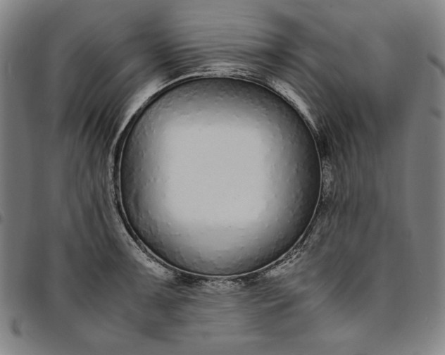 X0000094971091200712131449