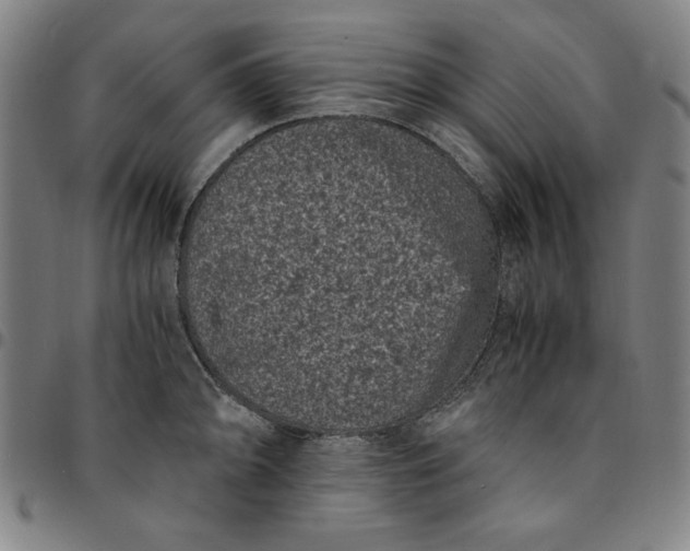 X0000094971094200712131449