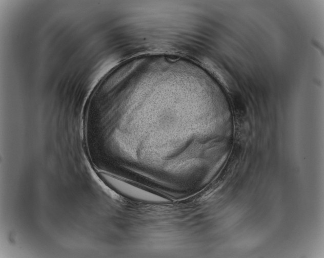 X0000094971095200712131449