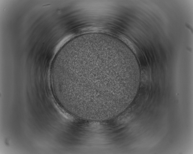 X0000094971098200712131449