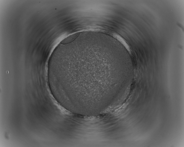 X0000094971099200712131449