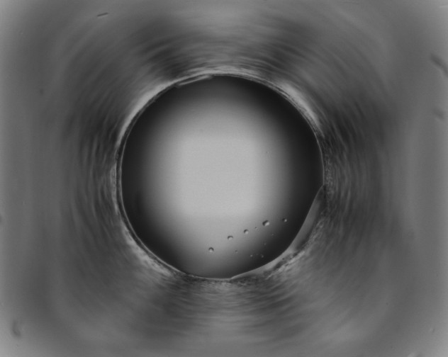 X0000094971100200712131449