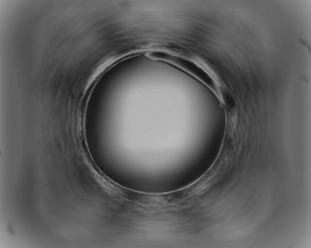 X0000094971101200712131449