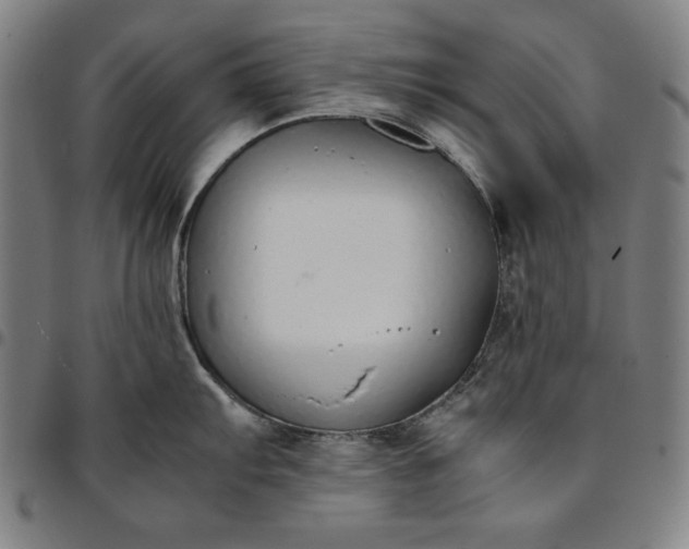 X0000094971103200712131449