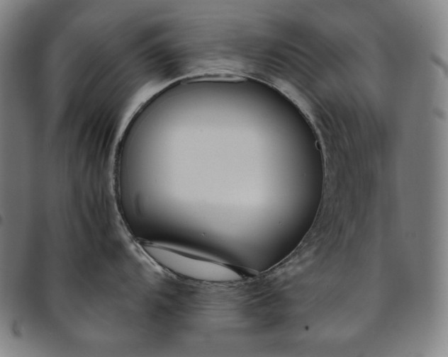 X0000094971104200712131449