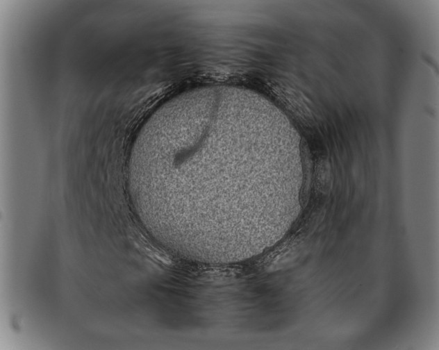 X0000094971105200712131448