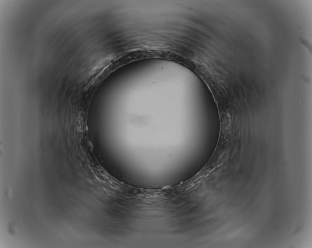 X0000094971110200712131448