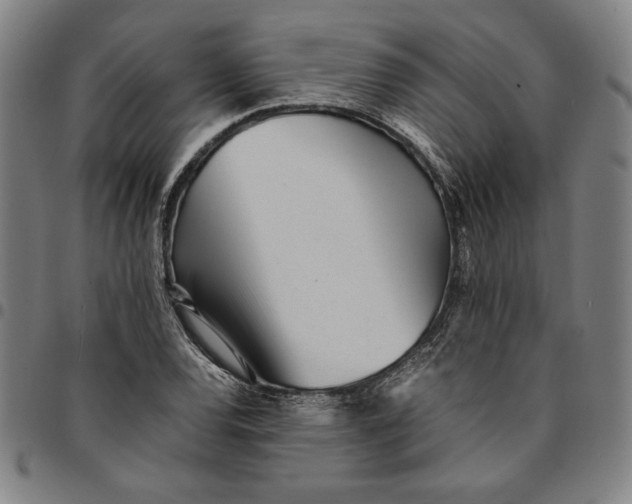 X0000094971120200712131448