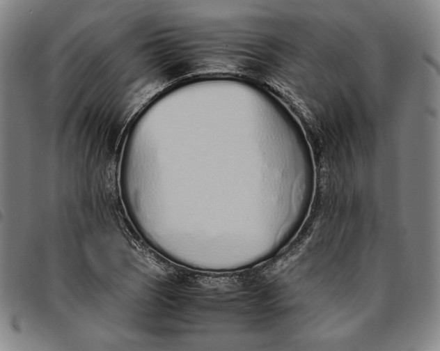 X0000094971121200712131448