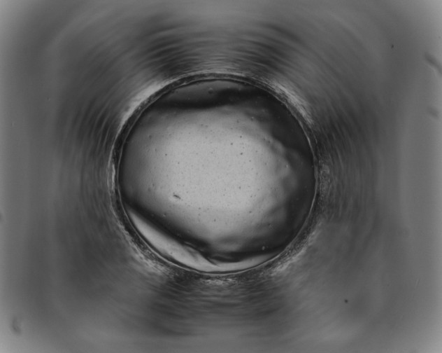 X0000094971125200712131449