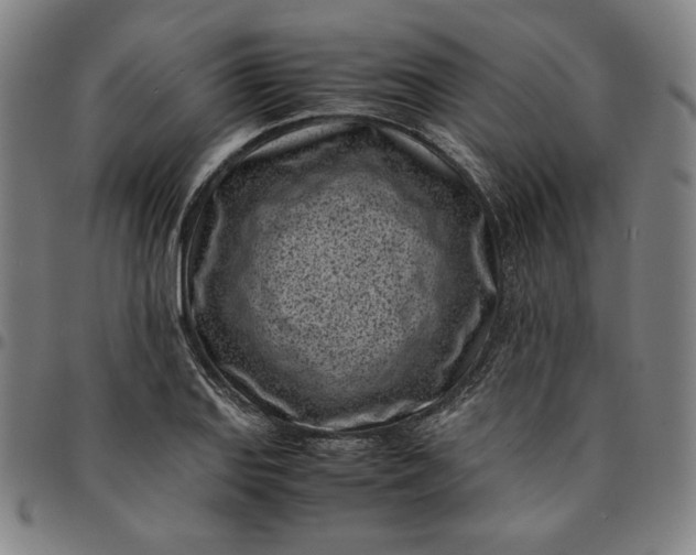 X0000094971127200712131449